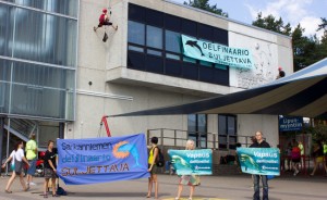 Oikeutta eläimille -mielenosoitus heinäkuussa: Pienet betonialtaat eivät ole oikea paikka valtamerinisäkkäille!