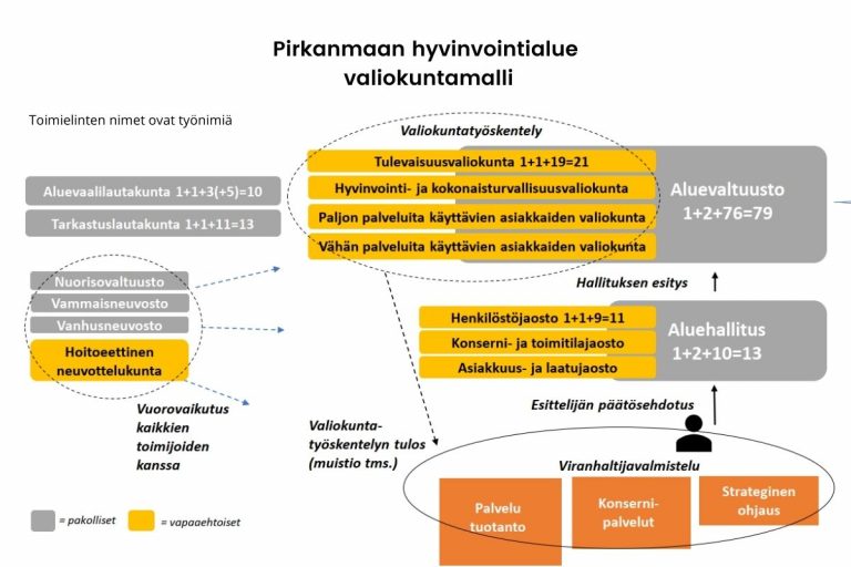 Nämä Toimielimet Perustetaan Pirkanmaan Hyvinvointialueelle - VASEN KAISTA