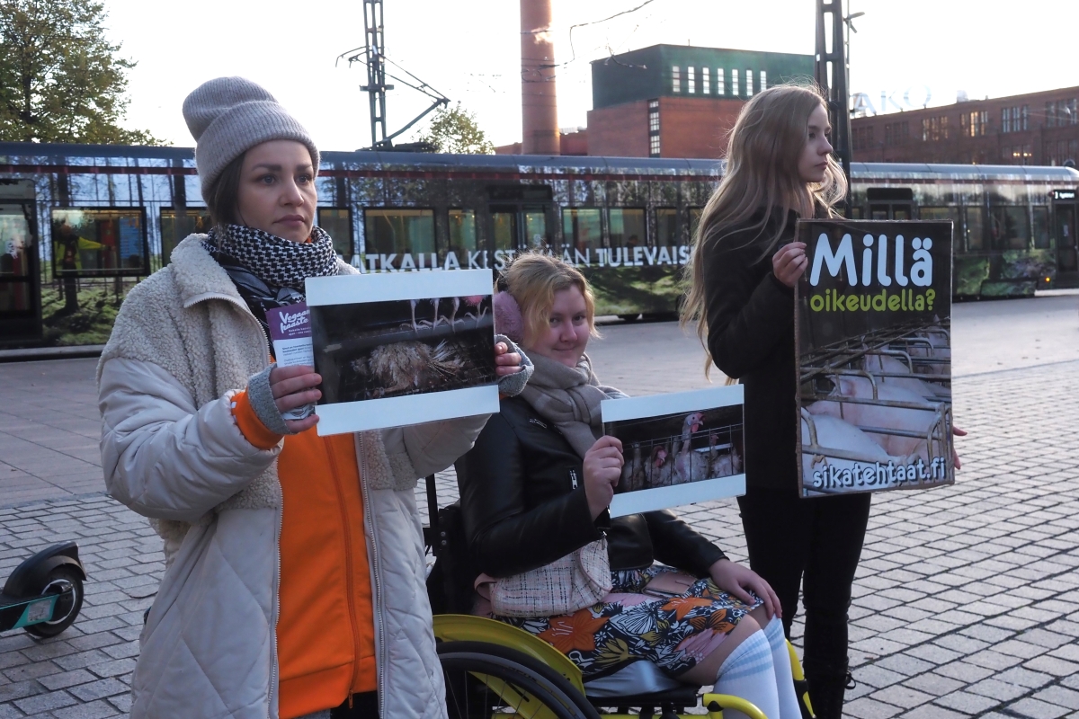 Kolme eläinoikeusaktivistia kylttien kanssa kadulla Tampereella.