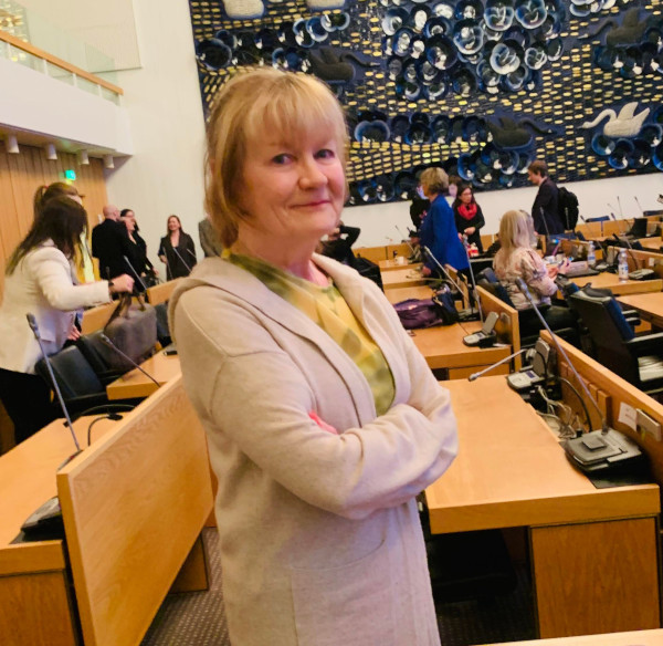 Ulla-Leena Alppi seisomassa Tampereen kaupunginvaltuustosalissa. 
