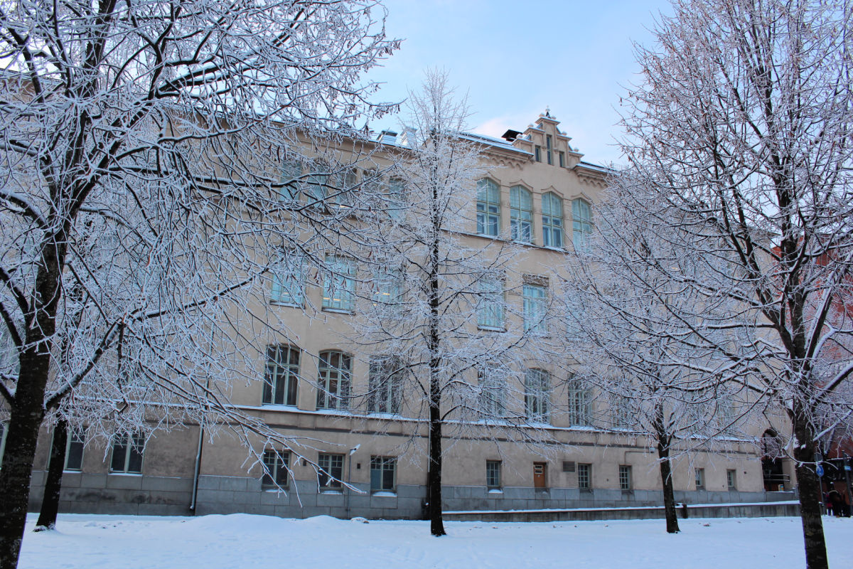 Talvisessa kuvassa huurteisten puiden takana koulurakennus.