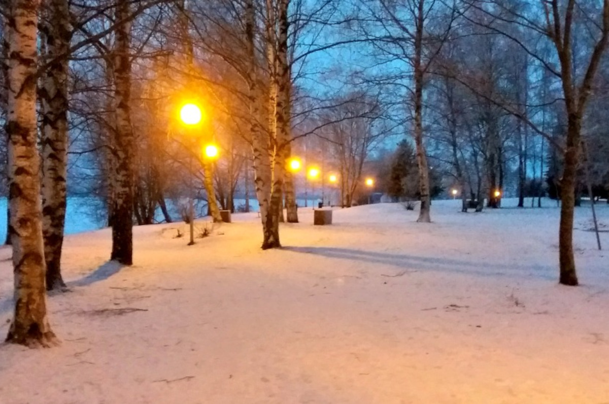 Talvinen puisto sinisen hetken aikaan.
