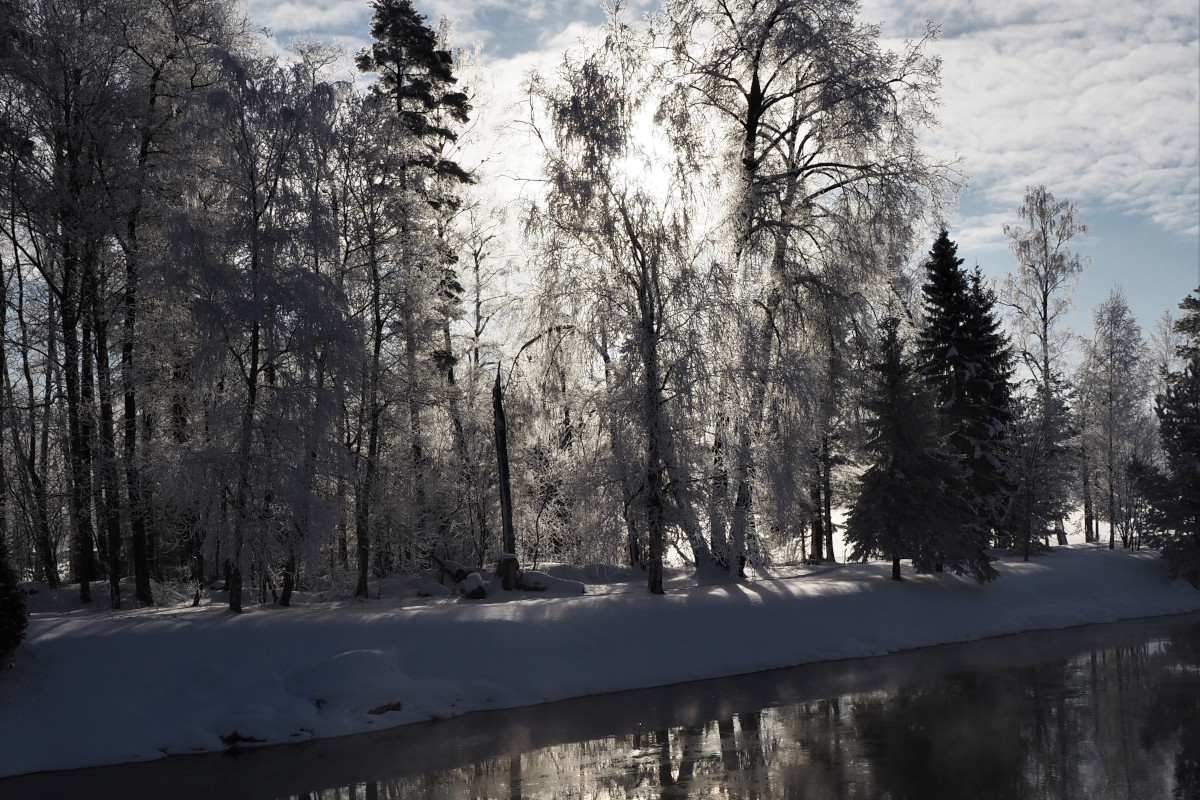 Joen rannalla lumipeitteisiä puita, edessä tummaa vettä-